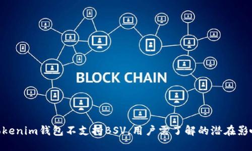 为何TokenTokenim钱包不支持BSV，用户需了解的潜在影响和替代方案