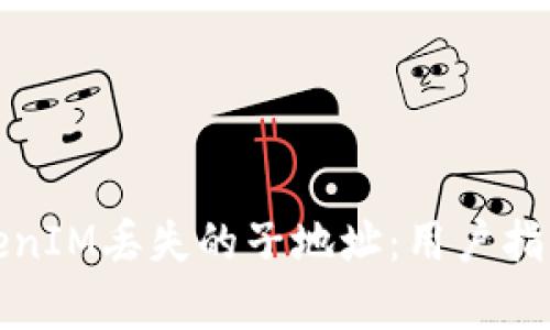 如何恢复TokenIM丢失的子地址：用户指南与实用技巧