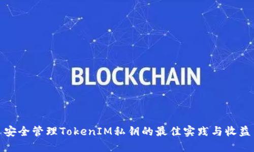 安全管理TokenIM私钥的最佳实践与收益