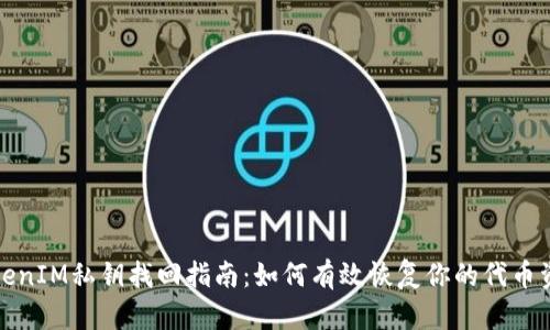 TokenIM私钥找回指南：如何有效恢复你的代币资产