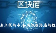 Tokenim钱包未上线的币：如何识别潜在的投资机会