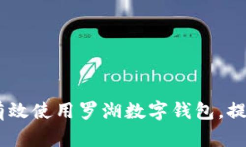 全面指南：如何有效使用罗湖数字钱包，提升您的支付体验