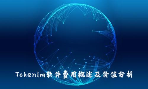 Tokenim软件费用概述及价值分析