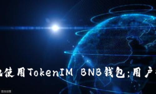 如何安全高效地使用TokenIM BNB钱包：用户收益与最佳实践