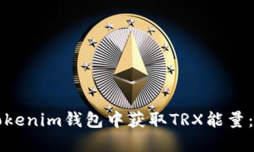 如何在Tokenim钱包中获取TRX能量：详细指南