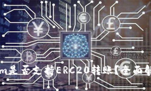 ### Tokenim是否支持ERC20转账？全面解析与用户指南