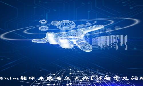 diaotiTokenim转账未发送怎么办？详解常见问题解决方案