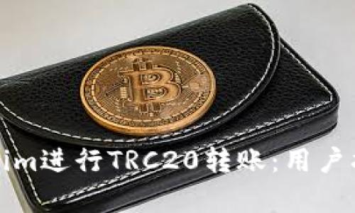 如何使用Tokenim进行TRC20转账：用户指南与价值分析