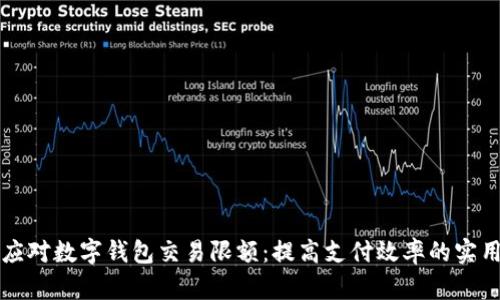 如何应对数字钱包交易限额：提高支付效率的实用指南