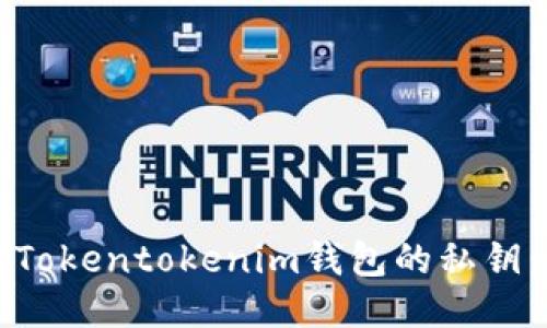 如何找回Tokentokenim钱包的私钥：详细指南