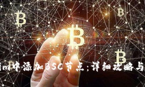 如何在Tokenim中添加BSC节点：详细攻略与用户收益分析
