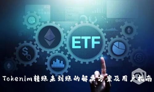 Tokenim转账未到账的解决方案及用户指南