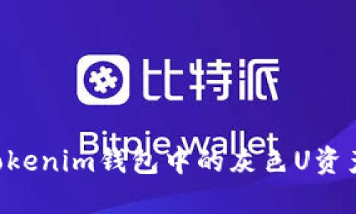 如何安全管理Tokenim钱包中的灰色U资产：用户实用指南