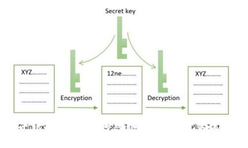 钱大妈数字钱包：提升您的购物体验，享受便捷消费新方式