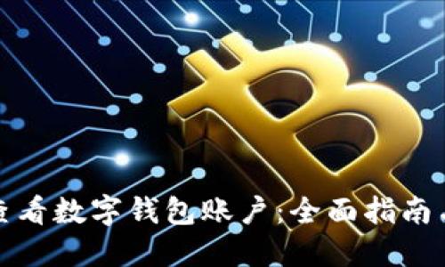 如何查看数字钱包账户：全面指南与技巧