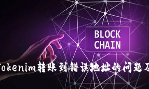 如何解决Tokenim转账到错误地址的问题及相关步骤