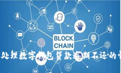 如何处理数字钱包贷款逾期不还的情况？