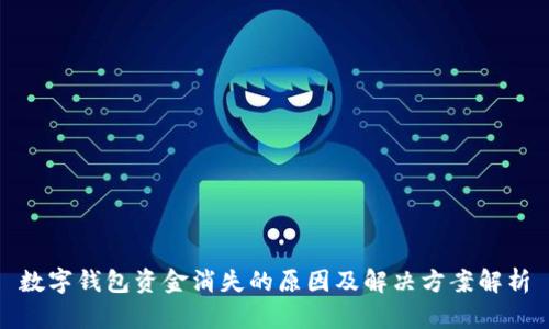 数字钱包资金消失的原因及解决方案解析