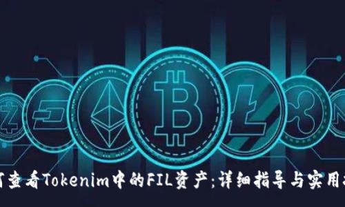 :
如何查看Tokenim中的FIL资产：详细指导与实用技巧