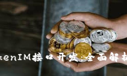 如何进行TokenIM接口开发：全面解析与实践指南