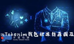 解读TokenTokenim钱包被冻结原因及解决方案