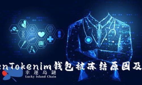 解读TokenTokenim钱包被冻结原因及解决方案