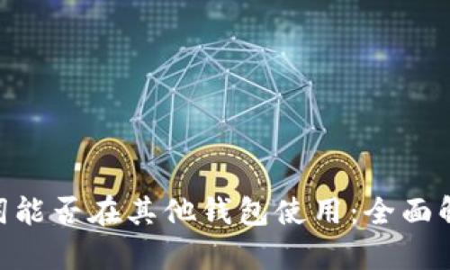 Tokenim助记词能否在其他钱包使用：全面解析与安全考虑