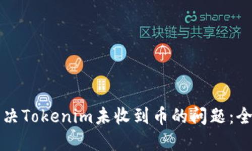 如何解决Tokenim未收到币的问题：全面指南