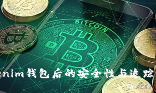  钱打入Tokenim钱包后的安全性与追踪可行性详解 