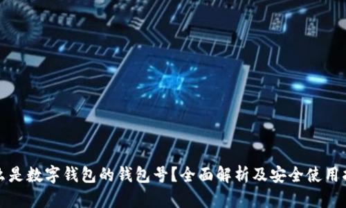 什么是数字钱包的钱包号？全面解析及安全使用指南