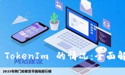 如何处理没有 TokenIm 的情况：全面解析与应对策略
