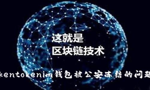 如何应对Tokentokenim钱包被公安冻结的问题及解决方案
