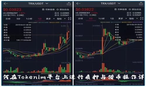 如何在Tokenim平台上进行质押与借币操作详解