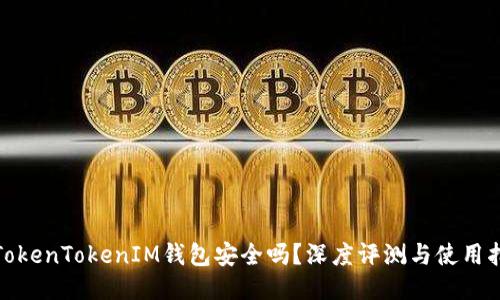 : TokenTokenIM钱包安全吗？深度评测与使用指南