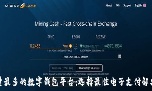  
用户量最多的数字钱包平台：选择最佳电子支付解决方案