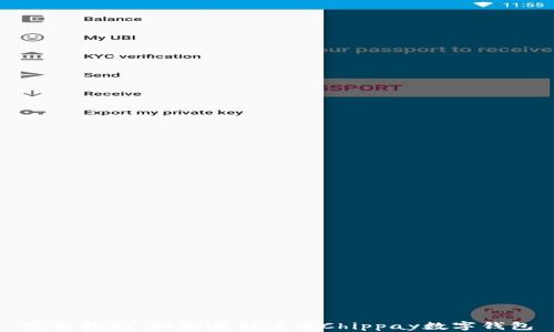 
完整指南：如何顺利注册Chippay数字钱包