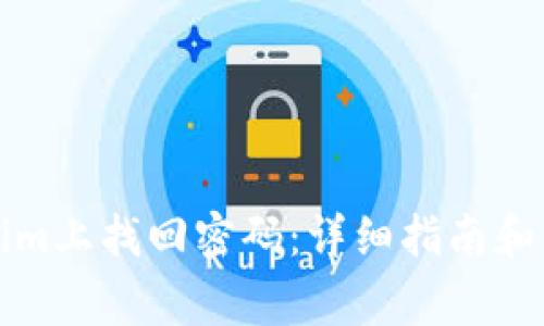 如何在Tokenim上找回密码：详细指南和常见问题解答