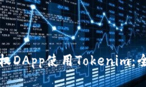 如何授权DApp使用Tokenim：全面指南