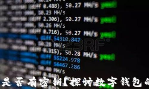 
TokenTokenIM钱包是否有密钥？探讨数字钱包的安全性与使用体验