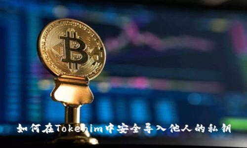 如何在Tokenim中安全导入他人的私钥