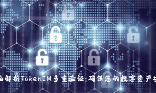 全面解析TokenIM多重验证：确保您的数字资产安全