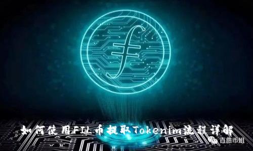 如何使用FIL币提取Tokenim流程详解