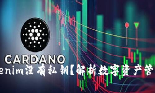 为什么Tokenim没有私钥？解析数字资产管理的新模式