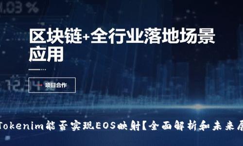 : Tokenim能否实现EOS映射？全面解析和未来展望