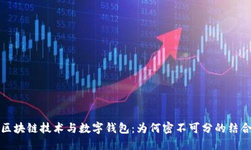 区块链技术与数字钱包：为何密不可分的结合