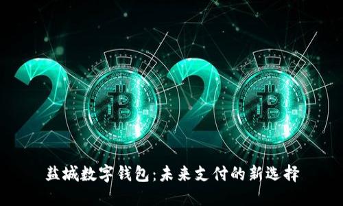 盐城数字钱包：未来支付的新选择