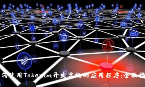 如何使用Tokenim开发高效的应用程序：全面指南