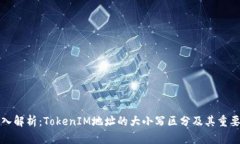 深入解析：TokenIM地址的大小写区分及其重要性