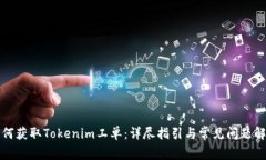 如何获取Tokenim工单：详尽指引与常见问题解答