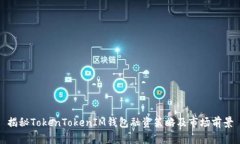 揭秘TokenTokenIM钱包融资策略及市场前景